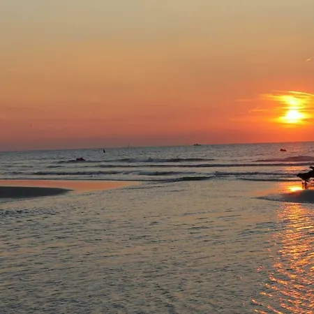 Prinses Elisabeth * コクセッド