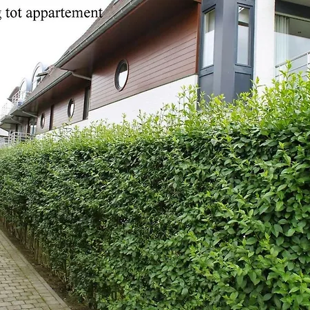 Prinses Elisabeth アパート *